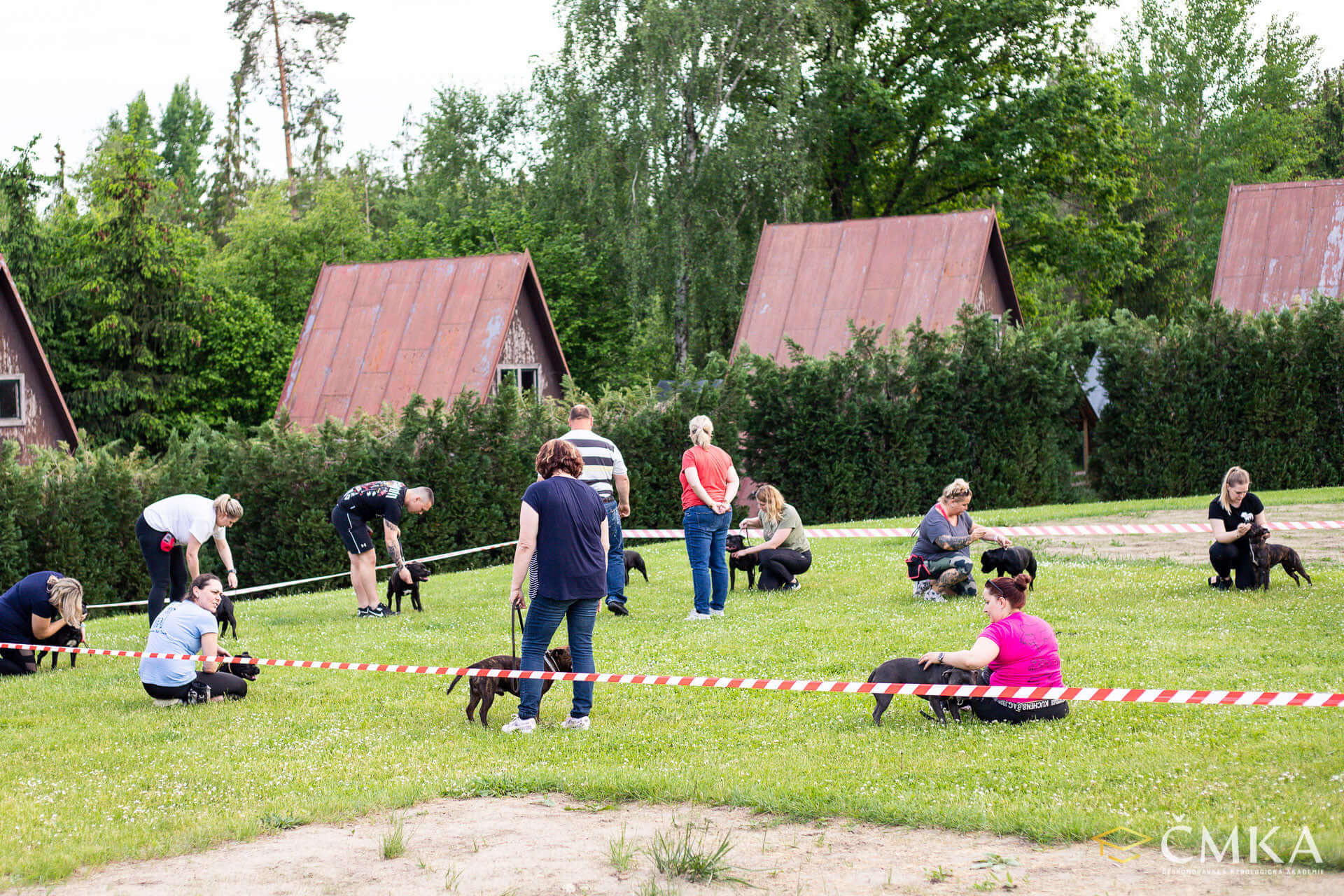 Simulace výstavy na semináři pro plemeno SBT